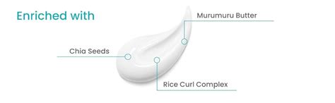 Buy Earth Rhythm Phyto Curls Moisture Lock Shampoo with Murumuru Butter ...