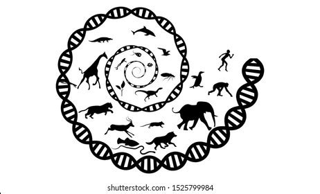 Image result for Evolution Vector