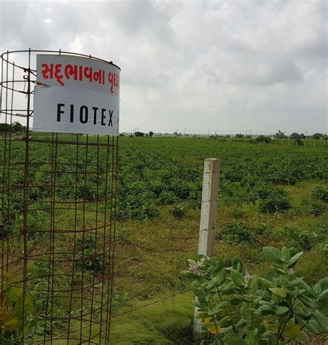 Fiotex Cotspin Pvt. Ltd. (FCPL)