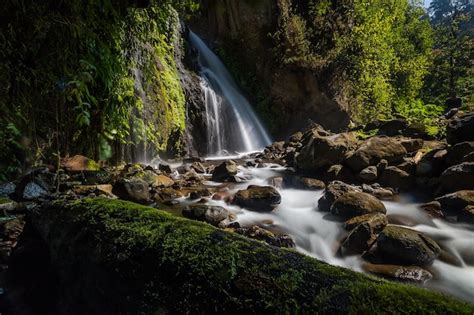 Image result for Stream Line Live