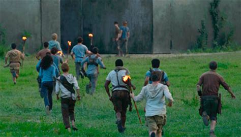 Image result for Maze Runner Streaming