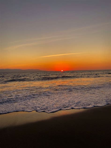 Image result for Sunset Python Snake