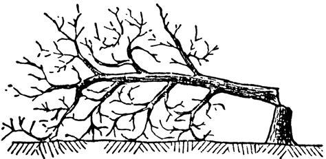 Image result for JavaScript Local Server Browser