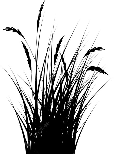 Tall Grass Outline