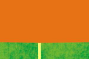 Sefina Insecticide | BASF Crop Protection India