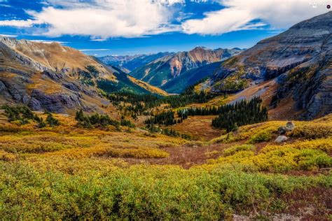San Juan County, The United States, forest, clouds, San Juan Mountains ...