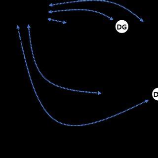 Local Control Symbol 的图像结果