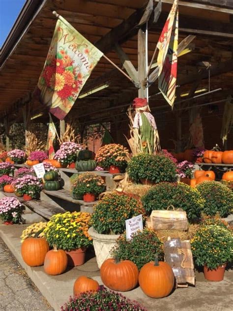 Image result for Local Flower Delivery