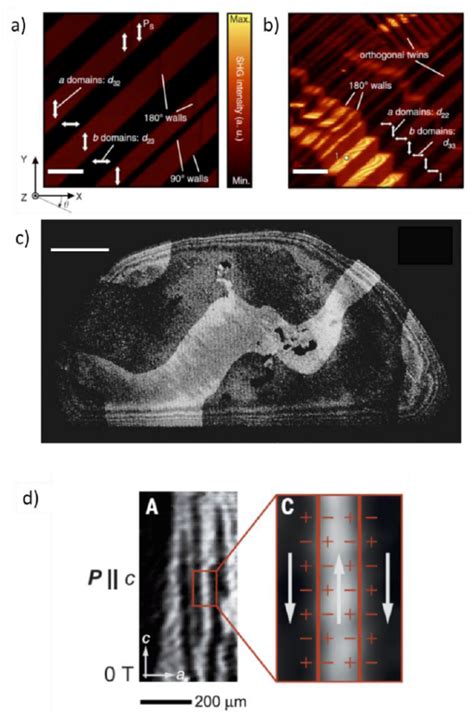 Probing Ferroic States in Oxide Thin Films Using Optical Second ...