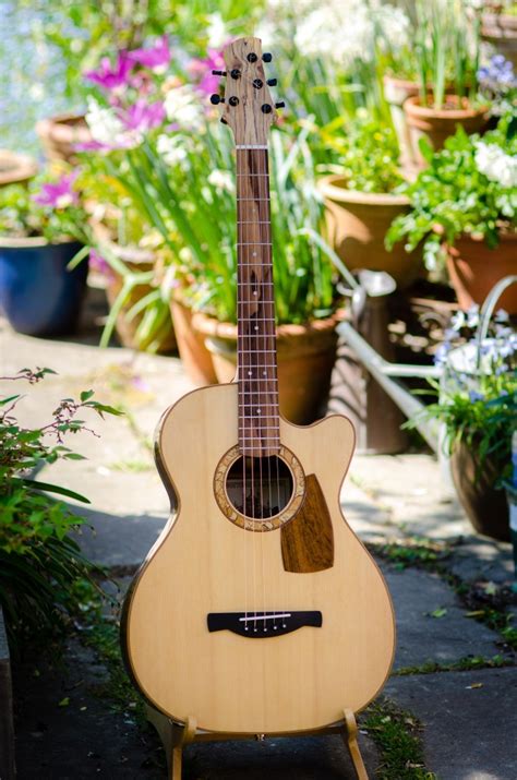 Image result for Lesson Five String Guitar