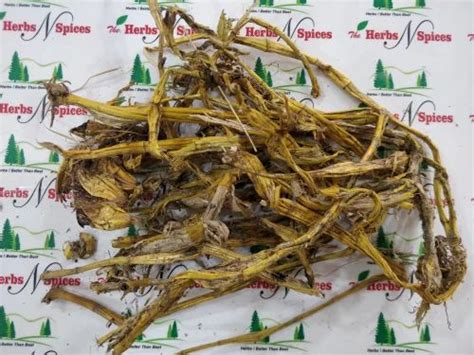 Herbal Plants - Javasa - Jawasa - Alhagi Maurorum Manufacturer from Neemuch