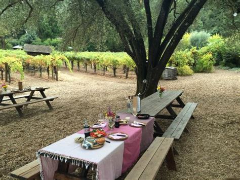 Kim Smith Wine Driver (Healdsburg) - All You Need to Know BEFORE You Go