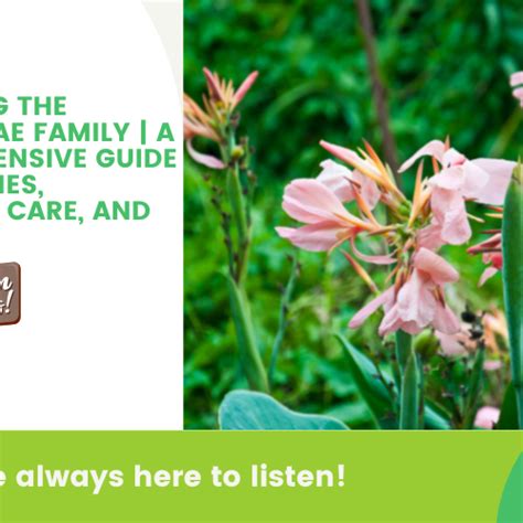 Best Gardening Tips | News and Care — Tagged "family" — Mahindra Nursery