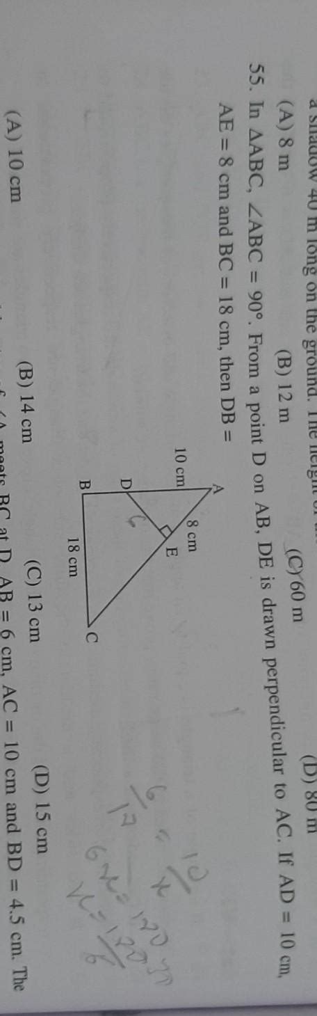 Class 10 [Triangles] - Brainly.in