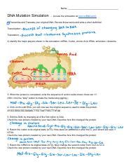 Image result for DNA Simulation Worksheet