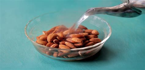 Soaked Almonds Benefits - 10 Benefits to Start Today | Max Lab