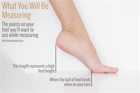 This Magic Number Is The Highest Heel Height You Should Wear, According To Podiatrists Vector Art