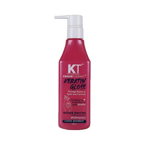 Buy KT Professional Keratin Gloss Damage Repair & Split End Control ...