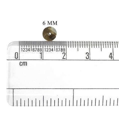 Where to Buy Shell Buttons Online at Wholesale Prices ...