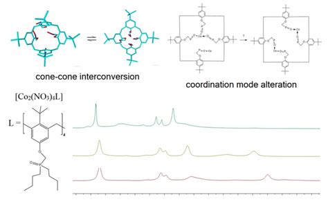 Paramagnetic Properties and Moderately RapidConformational Dynamics in ...