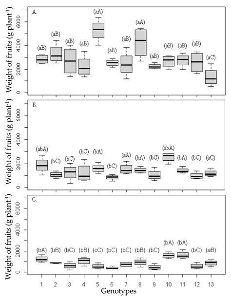 Salt Tolerance Indicators in ‘Tahiti’ Acid Lime Grafted on 13 Rootstocks