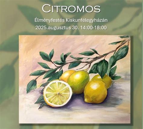 Élményfestés “Citromos“ , Kiskunfélegyháza, Szeged, 30 August 2025 ...