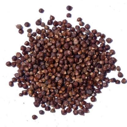 Go Raw TUMBRU BEEJ, TOMAR, TIMUR, TOMRU SEEDS, NEPALI DHANIA ...
