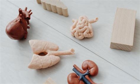 Air pollution damage to lungs is irreversible