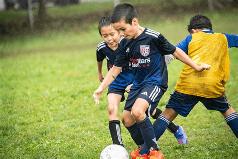 Soccer Stars 的图像结果