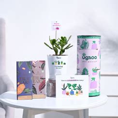 Buy Green Gifts Online - Plants for Gifts on any occasion – Ugaoo