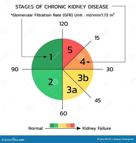 Image result for Net Filtration Rate Kidneys