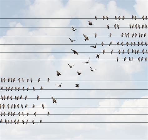 Image result for Continuous Learner