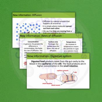 Image result for Diffusion GCSE Science