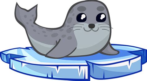 Harbor Seal PNG Images Transparent Background | PNG Play