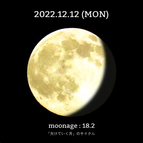 月は蟹座から獅子座に｜12月12日の月からのメッセージ