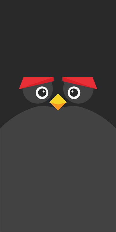 Image result for Black Angry Bird Exploding