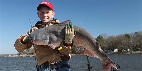 Catfish Using Garmin 4 Fishfinder 的图像结果