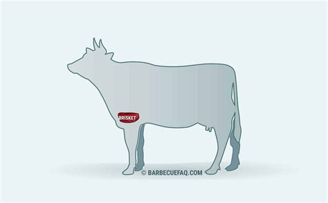 Primal Cuts of Beef: How the Cow is Divided Up