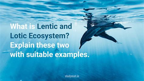 Lentic and Lotic Ecosystem. - STUDYMAT
