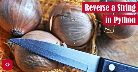 Image result for Python Code Reverse String