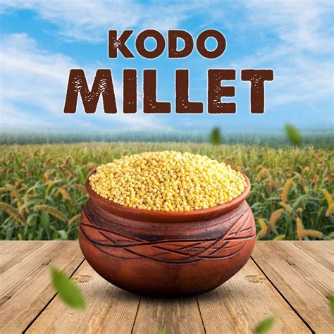 Kodo Millet Boiled | Varagu Pulungal 500g – Ueir Organic Foods