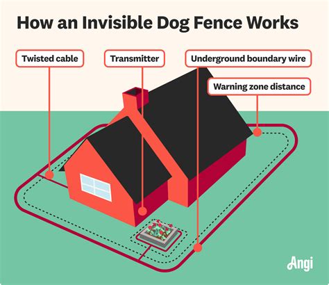Electric Dog Fence Installation GPS Dog Fence F8 | For Small, Medium