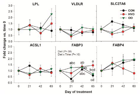Long-Term Effects of Dietary Olive Oil and Hydrogenated Vegetable Oil ...