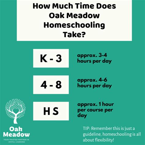 How Long Is a Typical Homeschool Day? | Oak Meadow