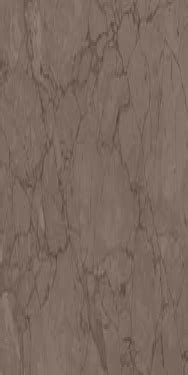 rover choco (rover choco)