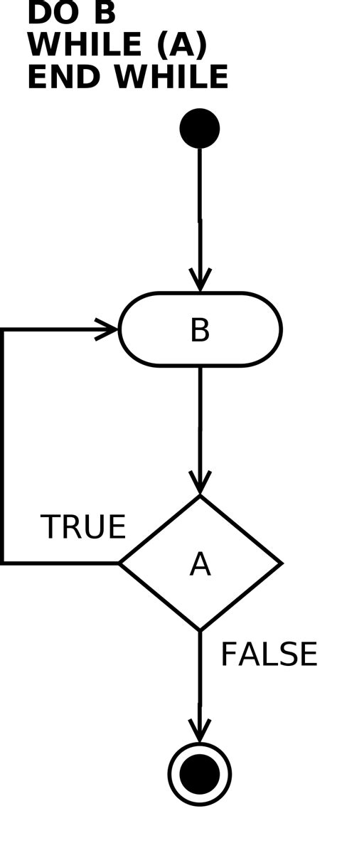 How While or Do While Loop Works 的图像结果