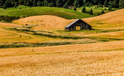 Careers & Volunteers - Latah Credit Union