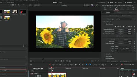 8 best DaVinci Resolve plugins to improve your workflow - Storyblocks