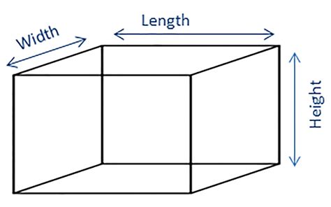 Plant Container Size Chart | PlanterCraft Blog