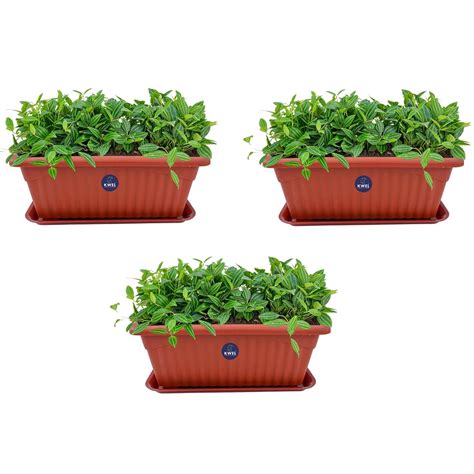 KWEL Rectangle Royal Planter Pots with Tray No-1(Small) Terracotta ...